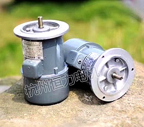 ZYS永磁直流測速發電機